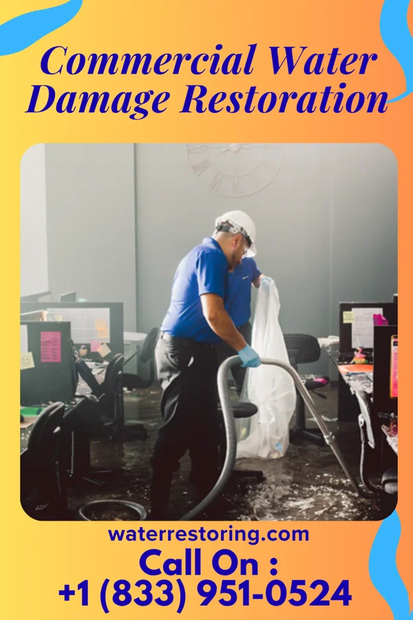 Commercial Water Damage Restoration in Cleone, CA